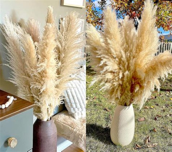 Does Michaels sell Pampas?