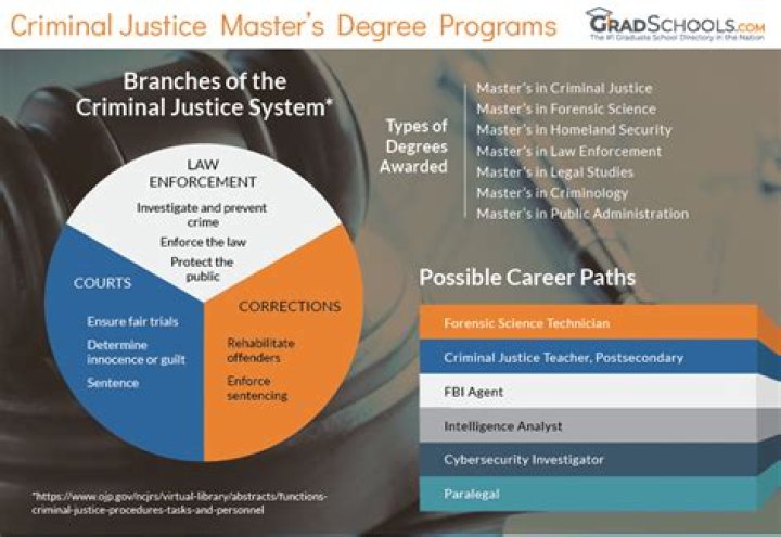 Does Michigan State have a good criminal justice program?
