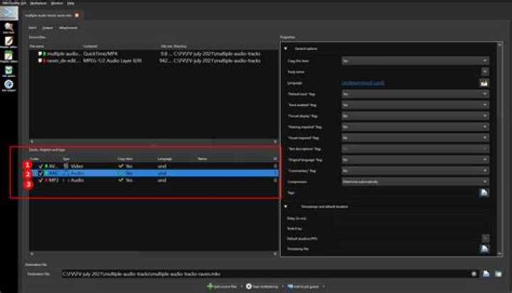 Does mp4 support multiple audio tracks?