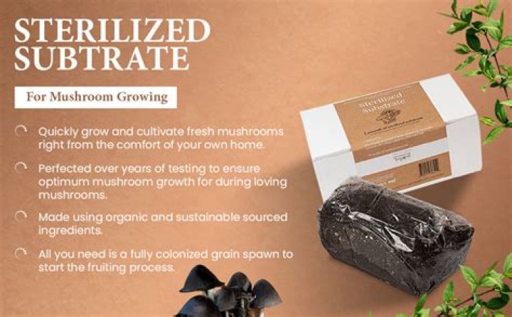 Does mushroom bulk substrate need to be sterilized?