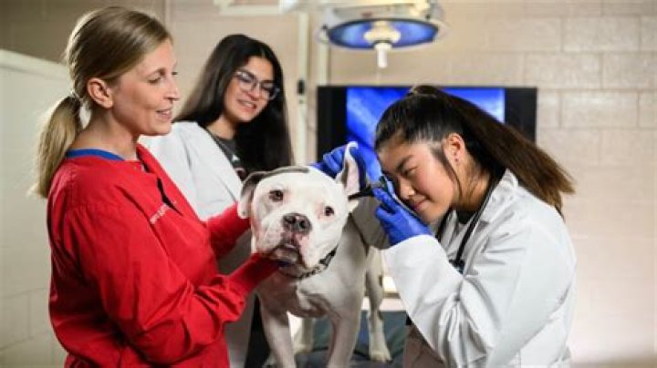 Does North Carolina have a vet school?