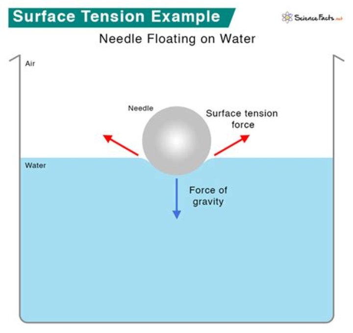 Does oil have more surface tension than water?