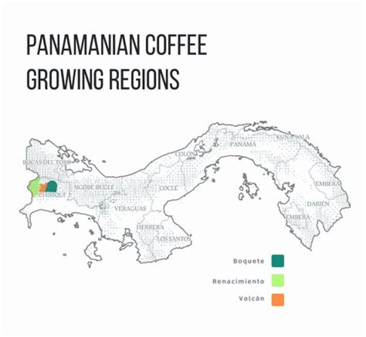 Does Panama grow coffee?