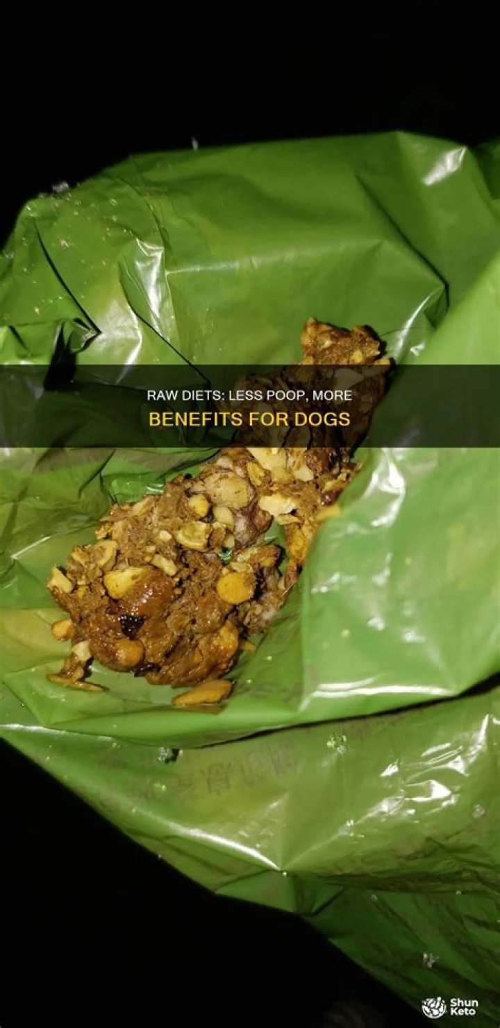 Does raw food make dogs poop less?
