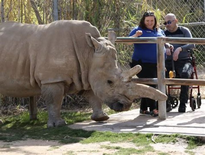Does Robert die in zoo?