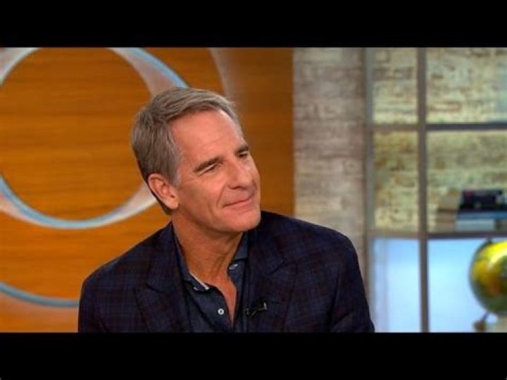 Does Scott Bakula sing the theme song?