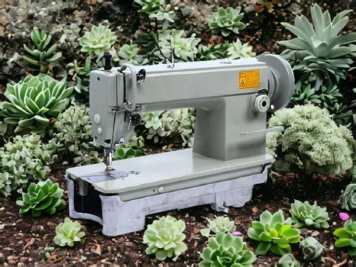 Does sewing machine oil get old?