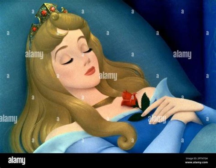 Does Sleeping Beauty have a rose?
