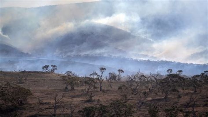 Does South Africa have bushfires?