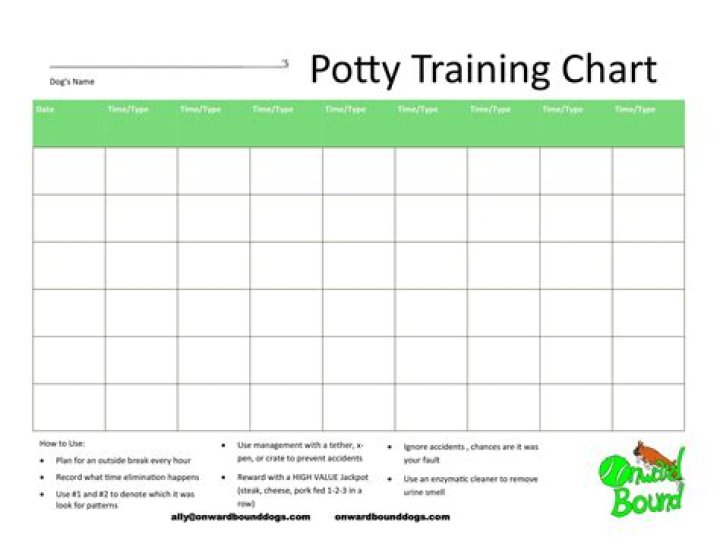 Does the Bell work for potty training?