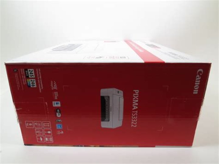 Does the Canon Pixma TS3322 come with ink?