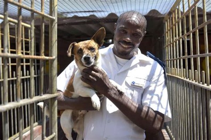 Does the SPCA have legal authority?