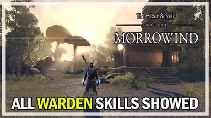 Does the warden class come with Morrowind?