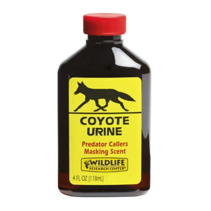 Does Walmart sell coyote urine?