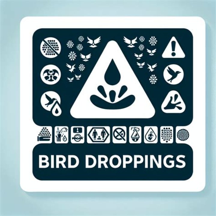 Does wax protect against bird droppings?