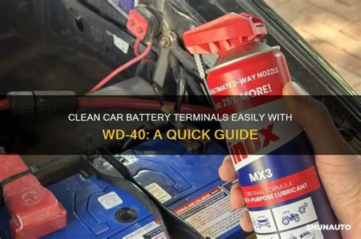 Does wd40 protect battery terminals?
