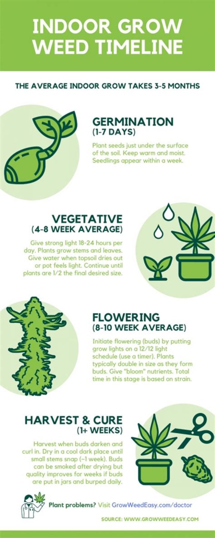 Does weed grow year round?