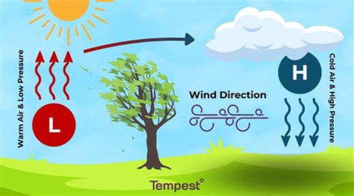 Does wind affect temperature?