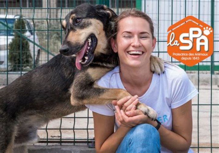 Est-ce que la SPA donne les animaux ?