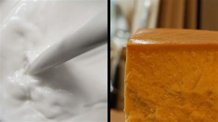 Has anyone made cheese from milk?