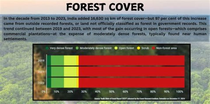 Has forest cover in India increased?