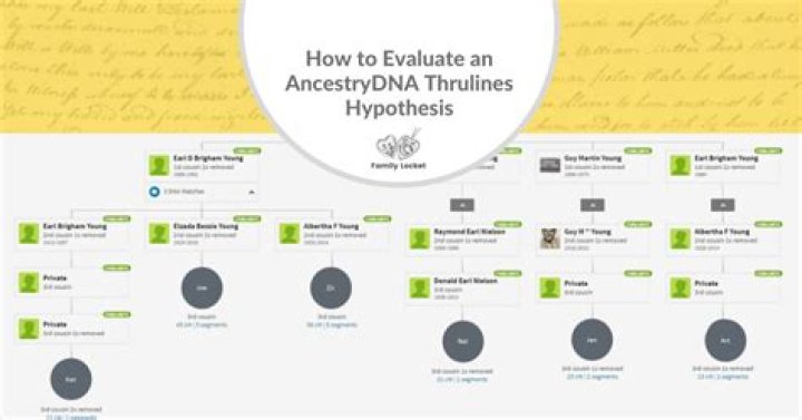 How accurate is ancestry ThruLines?