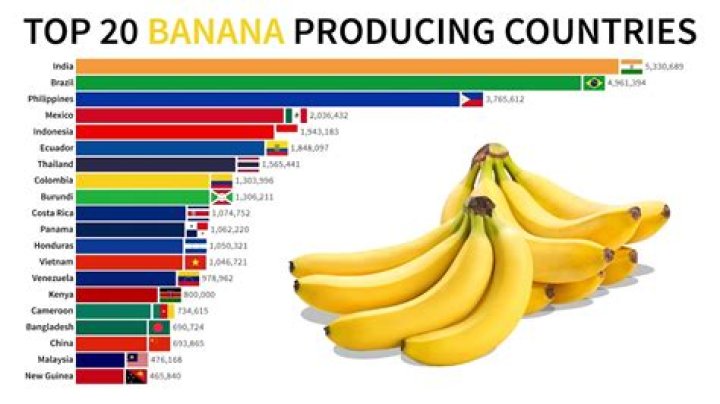 How are bananas produced?