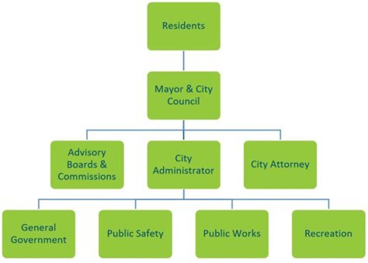 How are city governments organized?