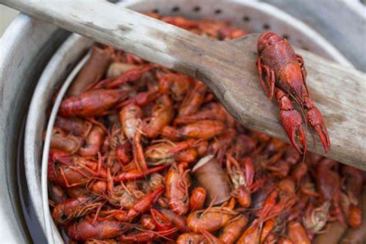 How are crawfish produced?