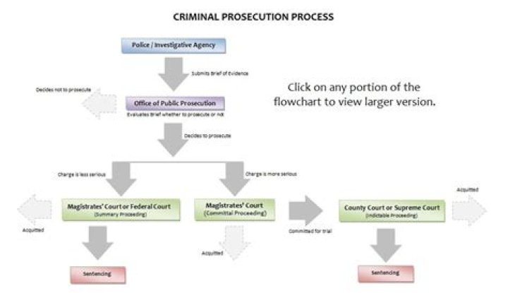 How are criminal cases initiated?