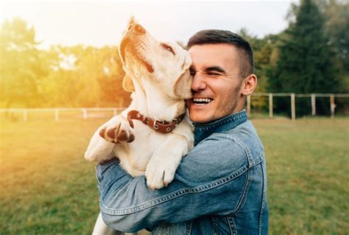 How are dogs and humans different?