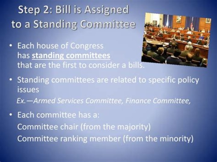 How are Senate committees assigned?
