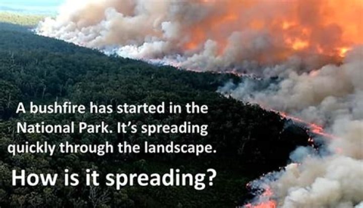 How big is the bushfire in Arizona?