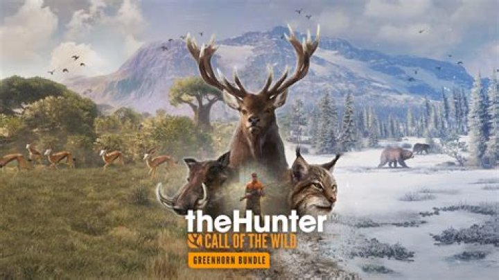 How Big Is the Hunter region?