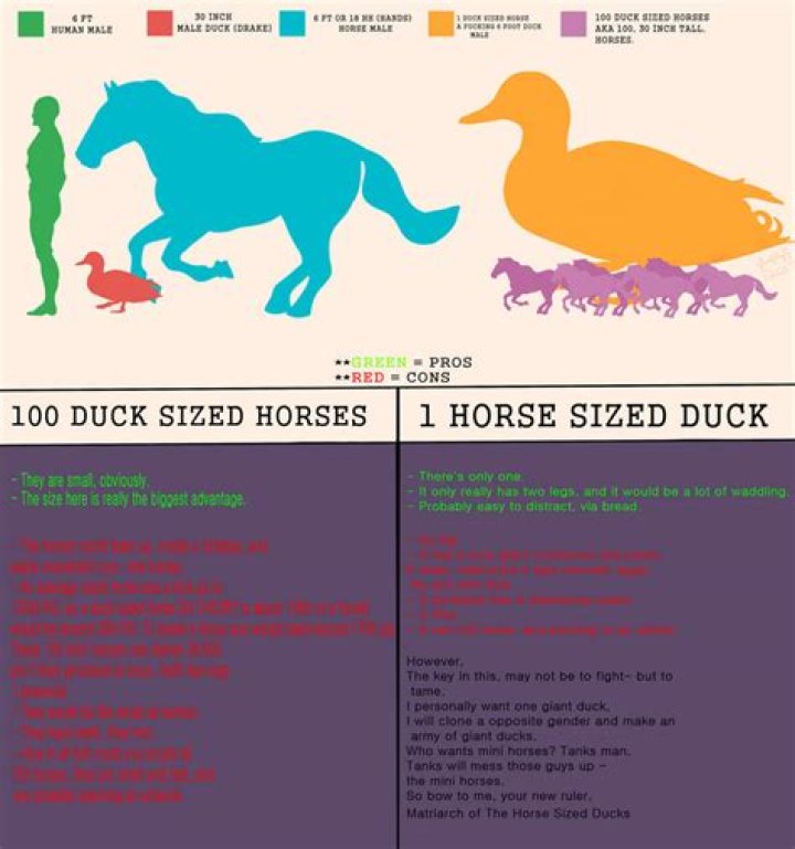 How big would a horse sized duck be?
