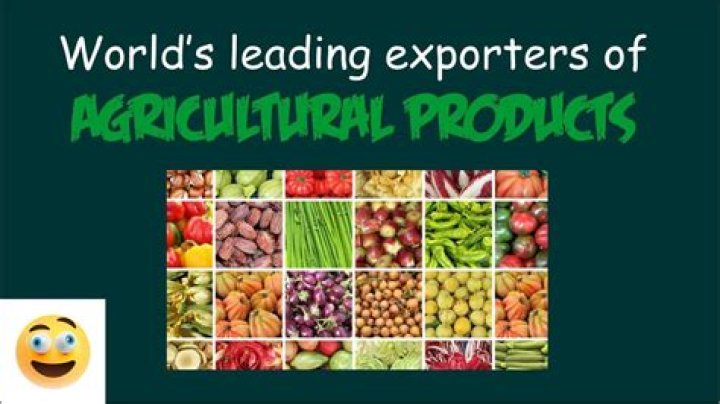 How can agricultural exports be promoted?