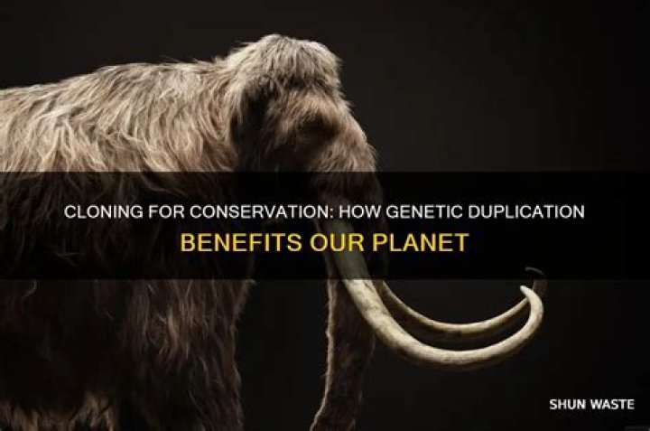How can cloning be used to save endangered species?