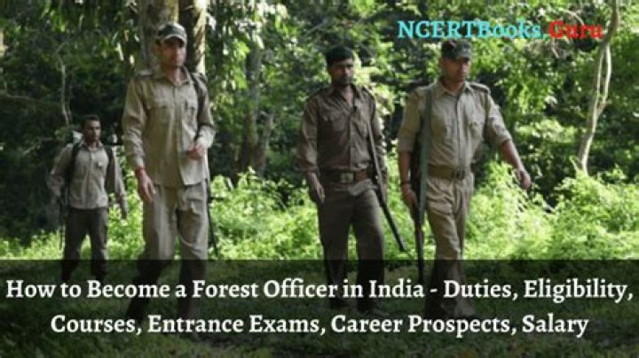 How can I become a forest officer in Tamilnadu?