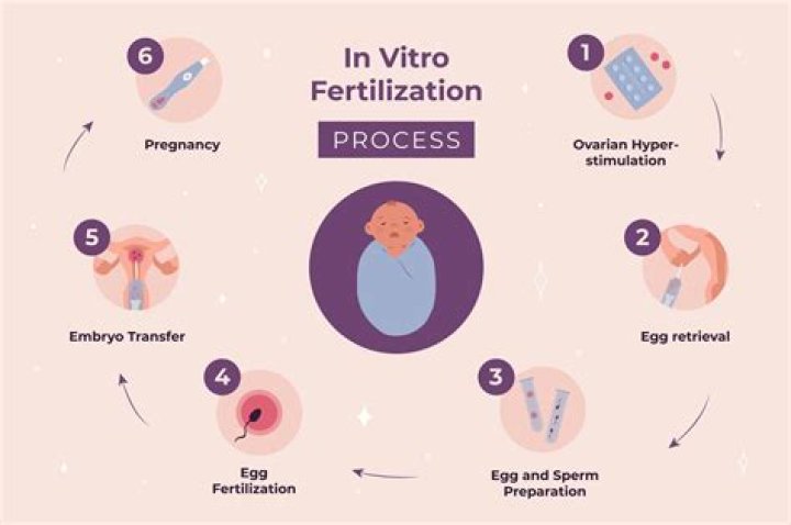 How can I become IVF doctor in India?