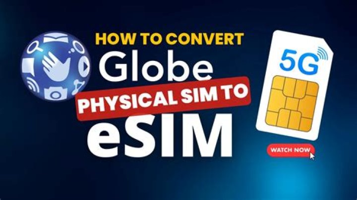 How can I change my normal SIM to international SIM?