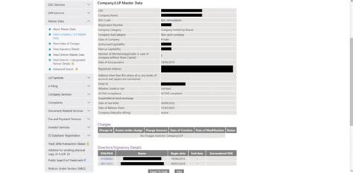 How can I check company details in Singapore?