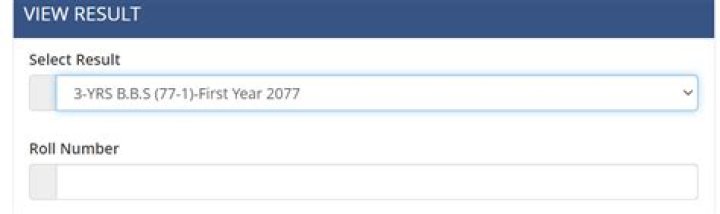 How can I check my 2077 result online?