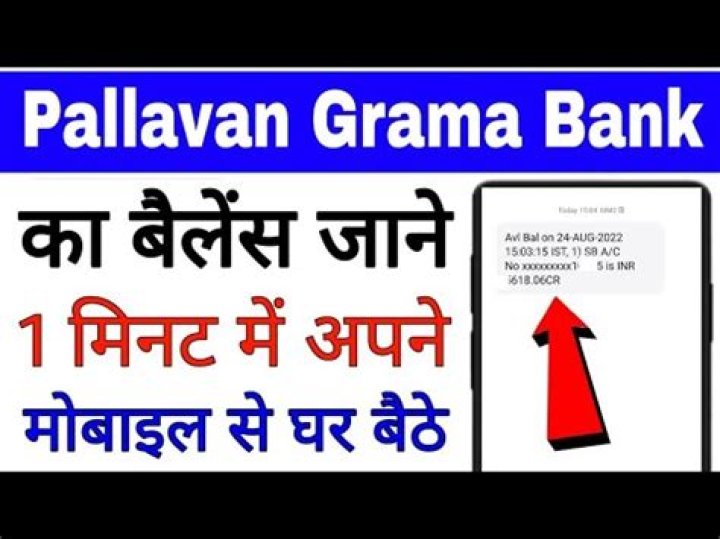 How can I check my balance in Pallavan Grama Bank?