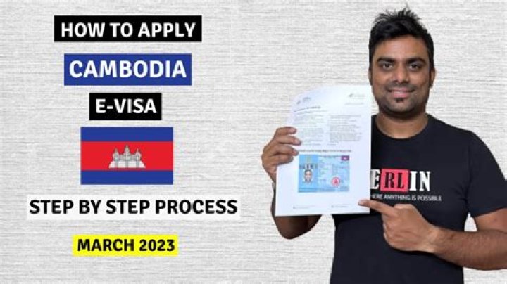 How can I check my Cambodia visa?