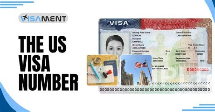 How can I check my Visa purchases?