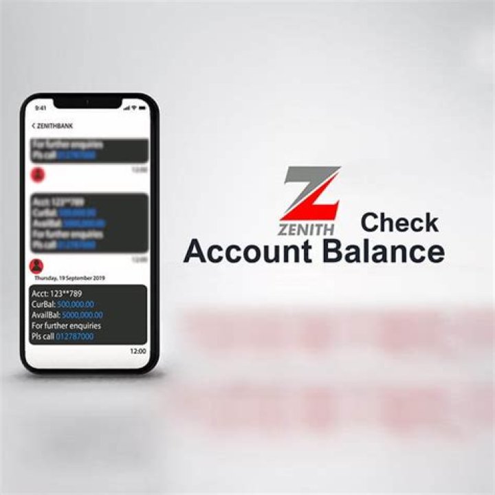 How can I check my Zenith balance without pin?