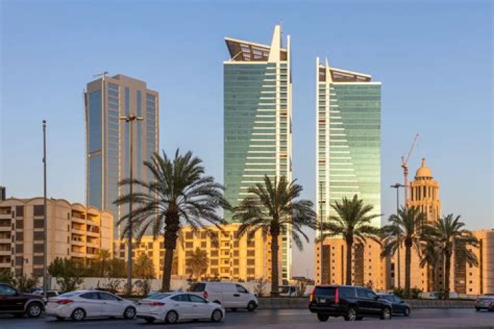 How can I check the owner of a car in Saudi Arabia?
