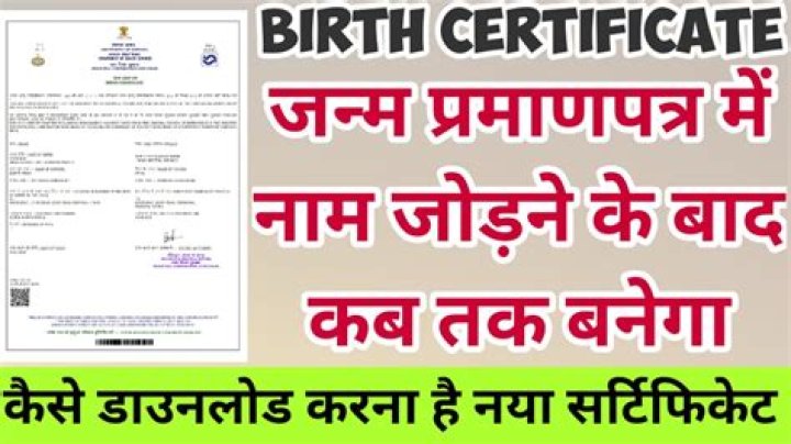 How can I download my birth certificate from Saral Haryana?
