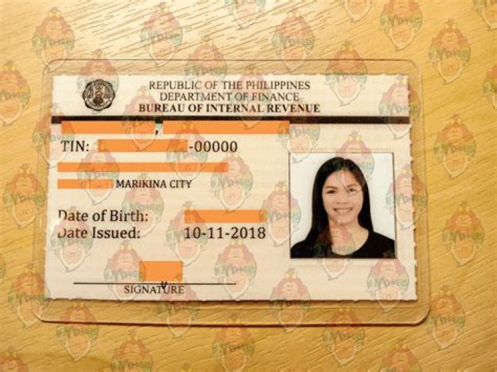 How can I get individual TIN number in the Philippines?