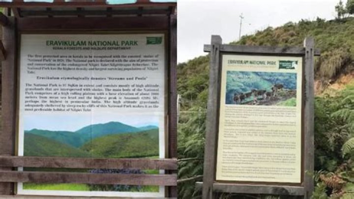 How can I go to eravikulam National Park?